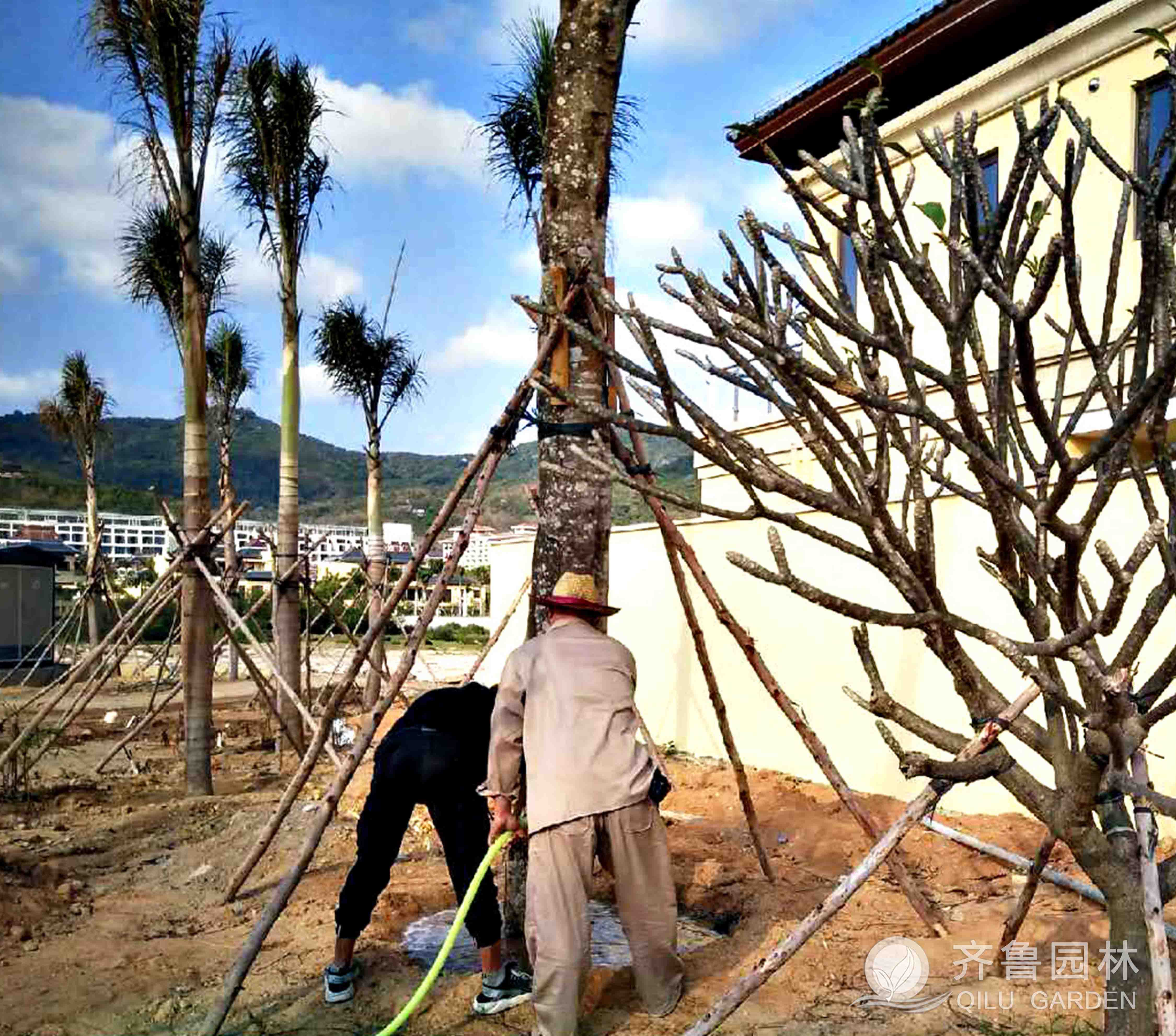 ������ʱ��(�й���)�������ǲ�!