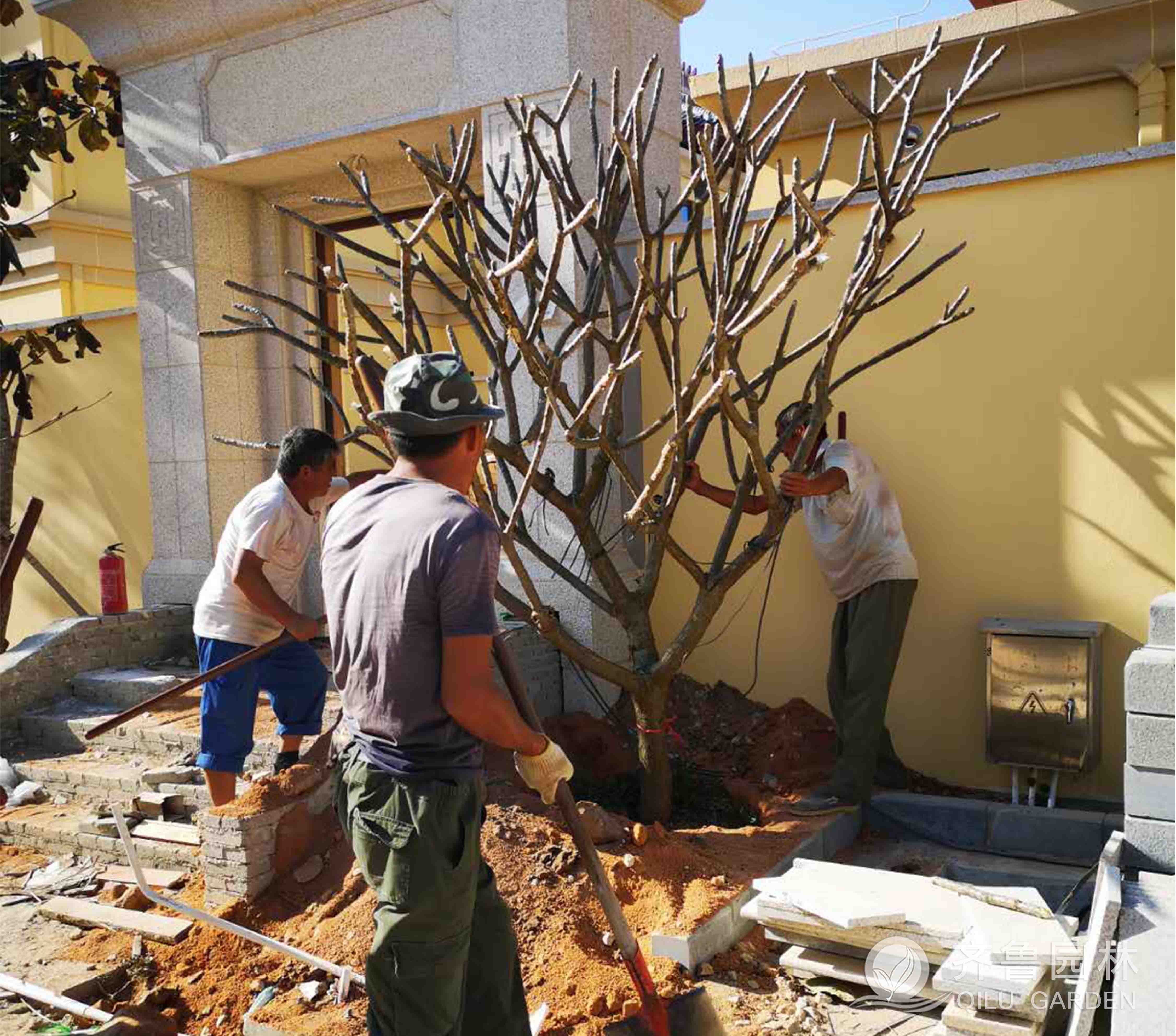 ×ðÁú¿Ê±¡¤(ÖйúÇø)ÈËÉú¾ÍÊDz«!