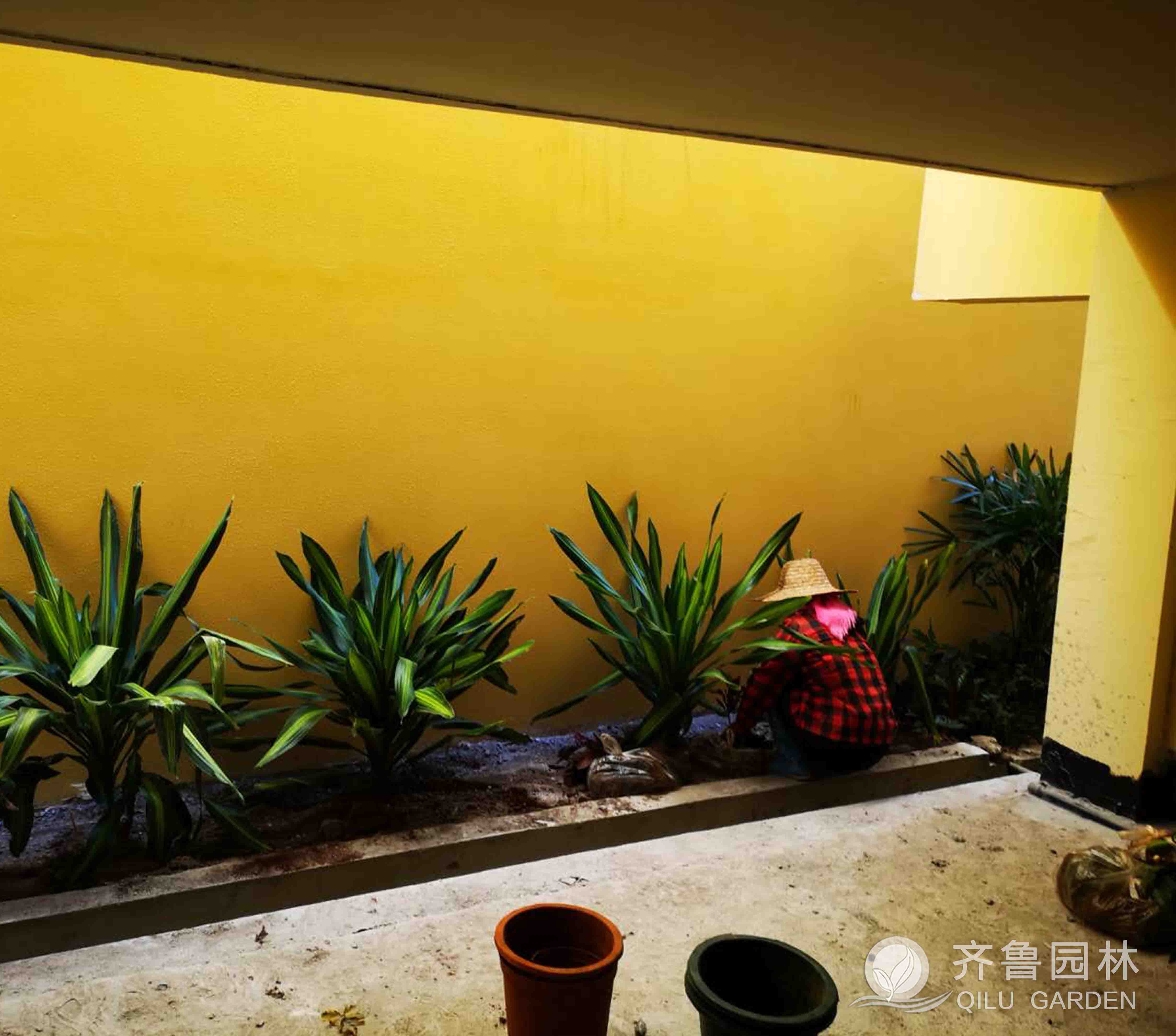 ×ðÁú¿Ê±¡¤(ÖйúÇø)ÈËÉú¾ÍÊDz«!