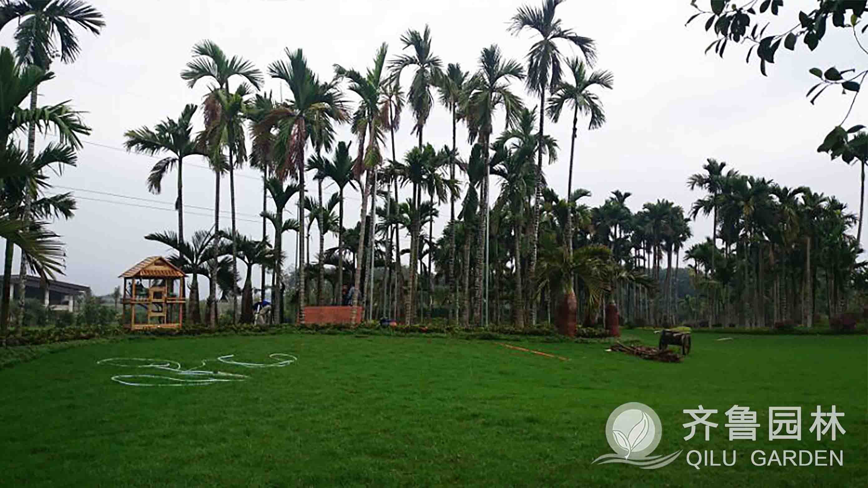 ������ʱ��(�й���)�������ǲ�!