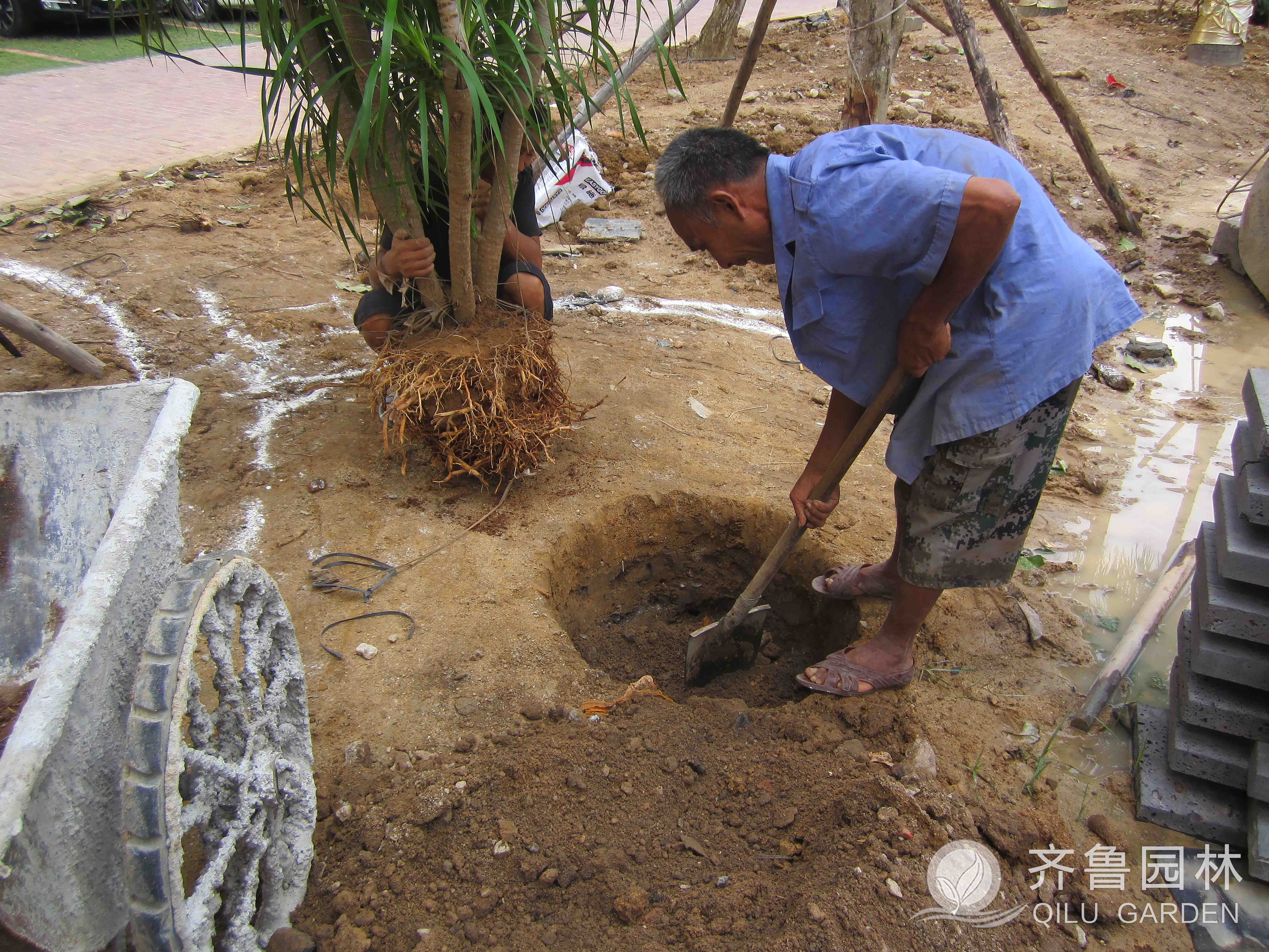 ������ʱ��(�й���)�������ǲ�!