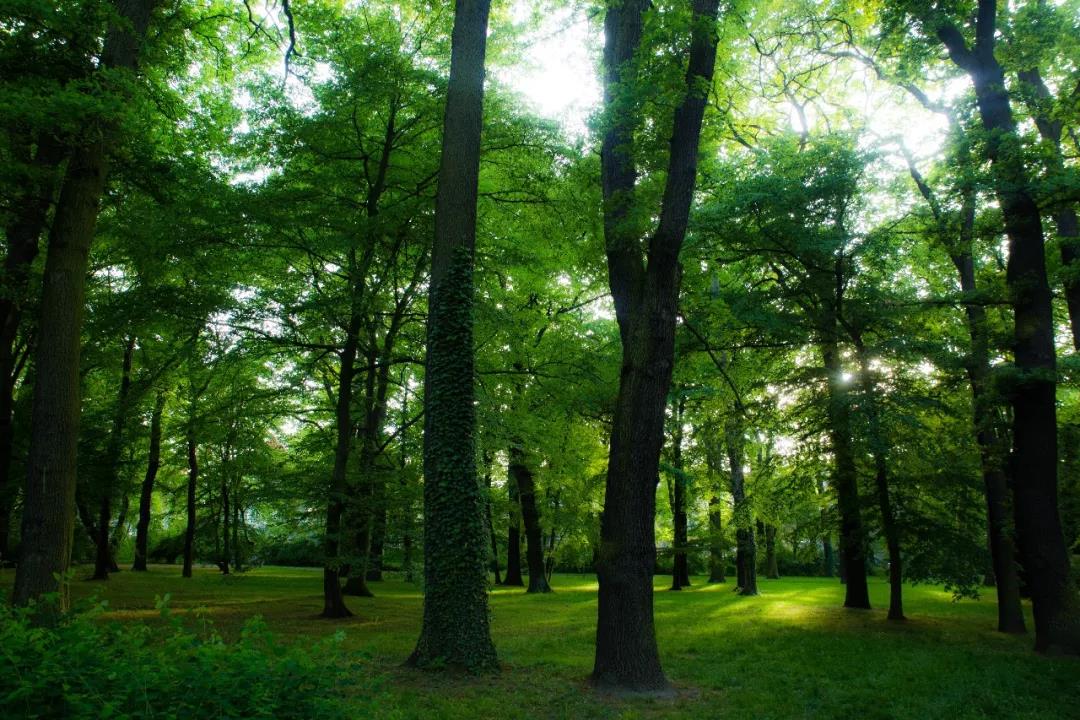 ×ðÁú¿Ê±¡¤(ÖйúÇø)ÈËÉú¾ÍÊDz«!