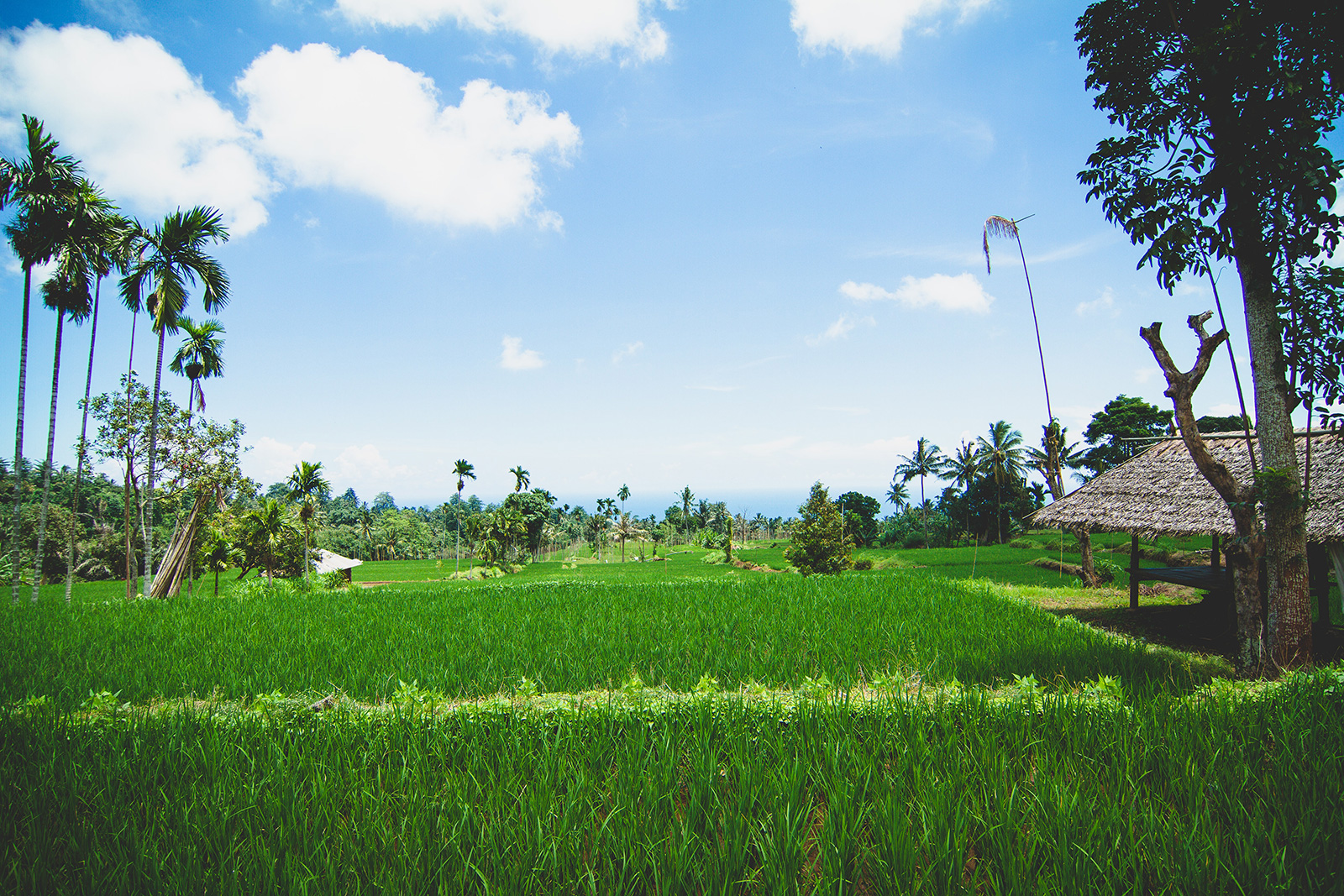 ������ʱ��(�й���)�������ǲ�!