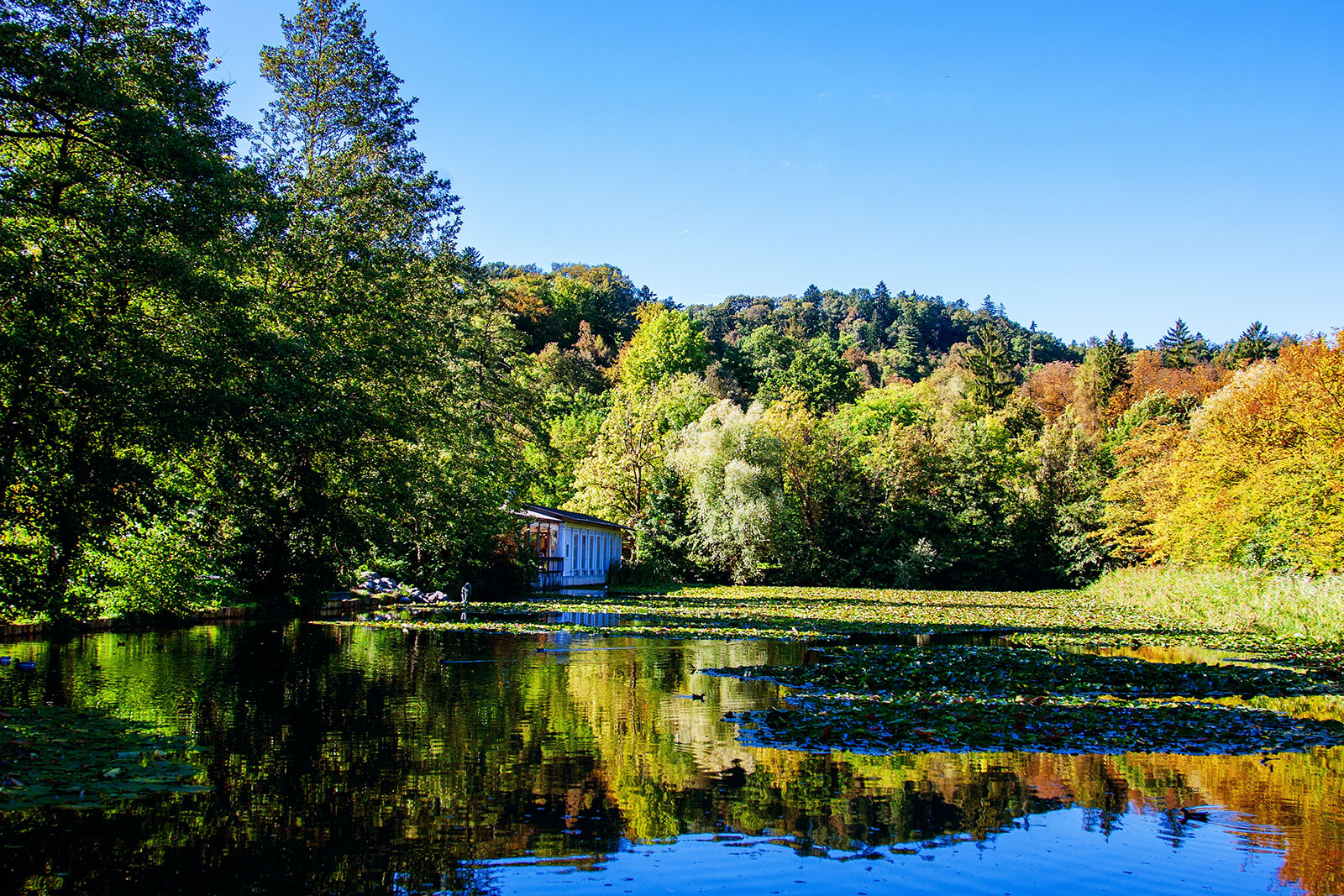 ������ʱ��(�й���)�������ǲ�!