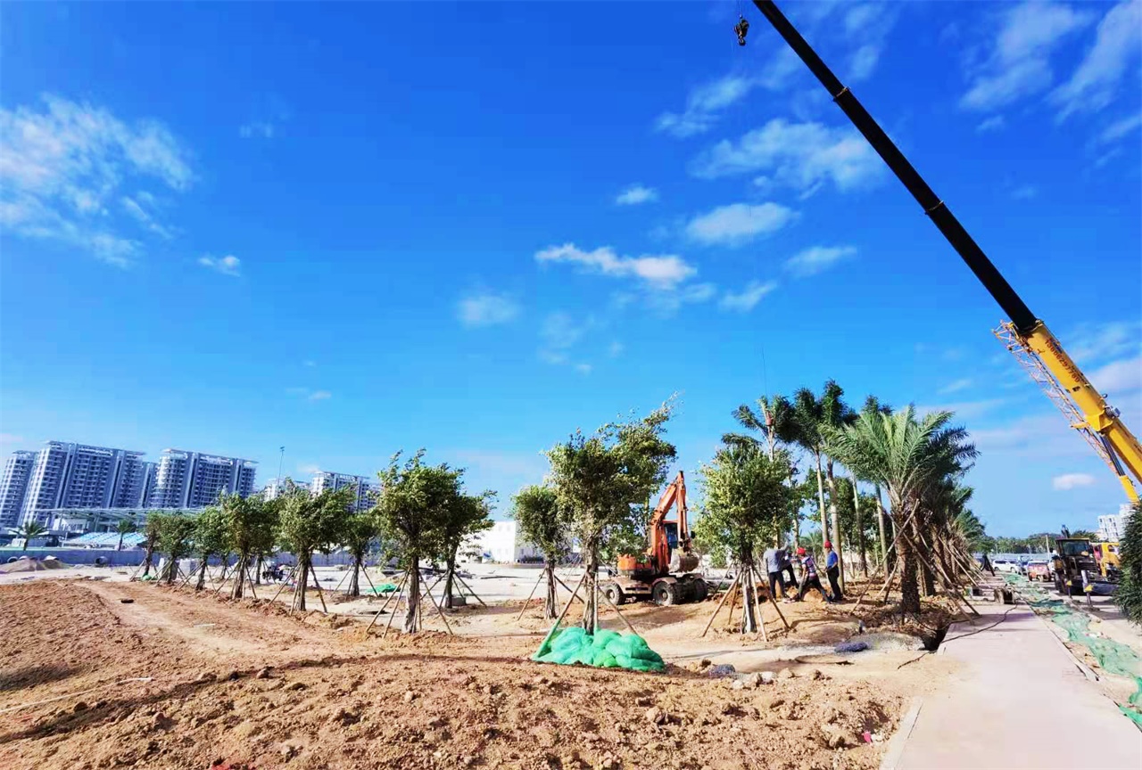 ������ʱ��(�й���)�������ǲ�!